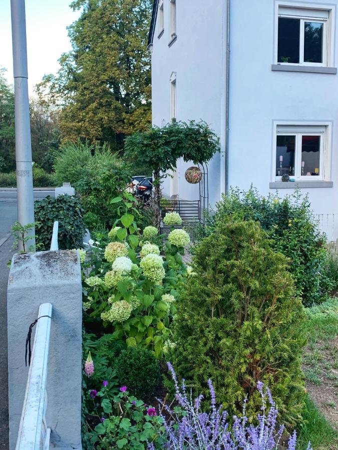 Sascha'S Home Saarlouis Exterior foto